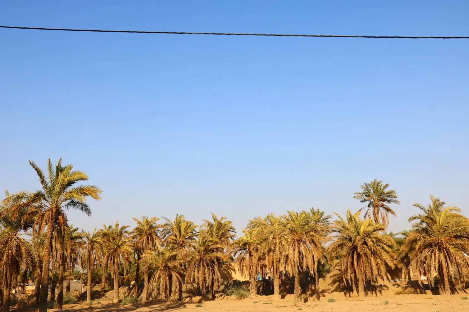 العمارة التجارية بمركز الولاية