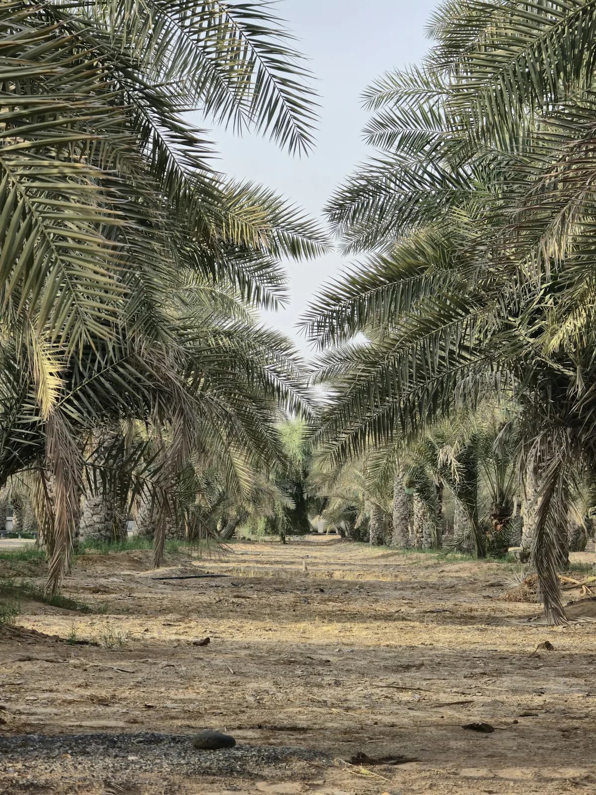 معرض الأسر المنتجة